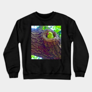 The Ring Parrot! Crewneck Sweatshirt